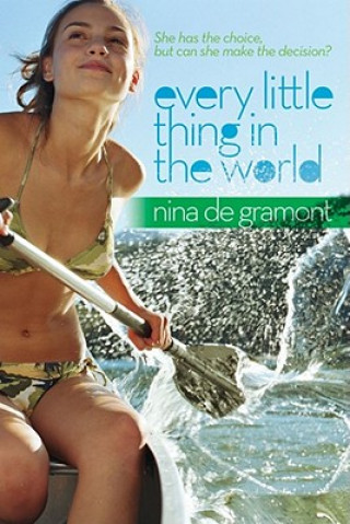 Book Every Little Thing in the World Nina De Gramont