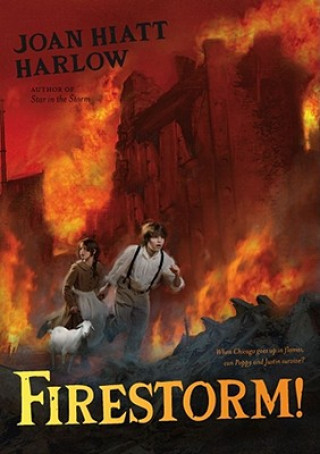 Książka Firestorm! Joan Hiatt Harlow