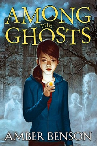 Knjiga Among the Ghosts Amber Benson