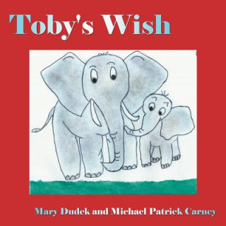 Kniha Toby's Wish Mary Dudek