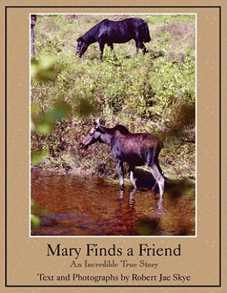 Carte Mary Finds a Friend Robert Jae Skye