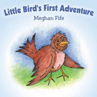 Könyv Little Bird's First Adventure Meghan Fife