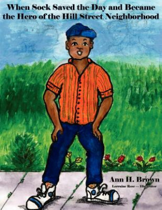 Book When Sock Saved the Day and Became the Hero of the Hill Street Neighborhood Ann H. Brown