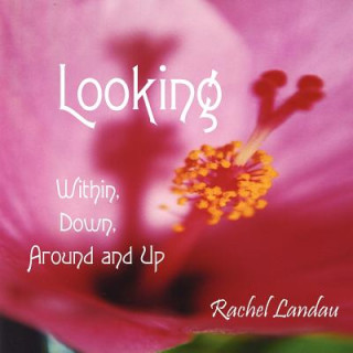 Книга Looking Rachel Landau