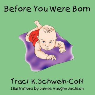Kniha Before You Were Born Traci K. Schwein-Coff