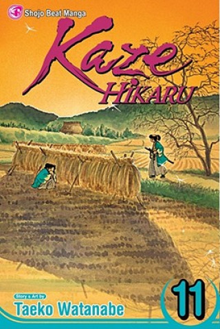 Carte Kaze Hikaru, Volume 11 Taeko Watanabe