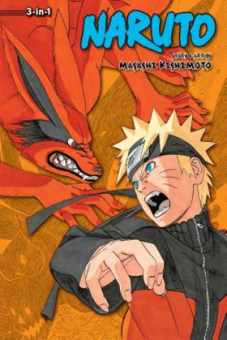 Kniha Naruto (3-in-1 Edition), Vol. 17 Masashi Kishimoto