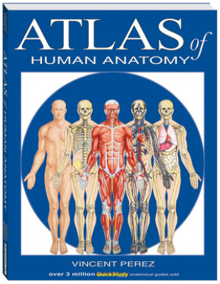 Kniha Atlas of Human Anatomy Vincent Perez