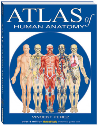 Książka Atlas of Human Anatomy Vincent Perez