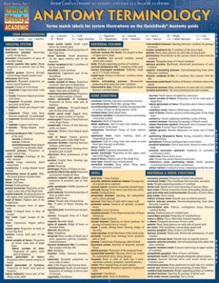 Knjiga Anatomy Terminology Reference Guide BarCharts Inc