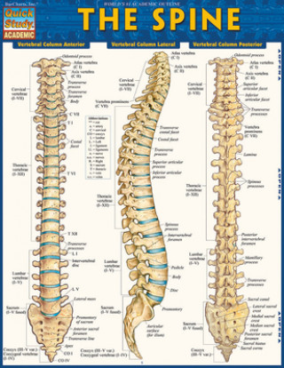 Pubblicazioni cartacee The Spine BarCharts Inc