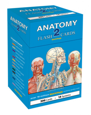 Tiskovina Anatomy 2 Flash Cards BarCharts Inc