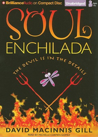 Audio Soul Enchilada David Macinnis Gill
