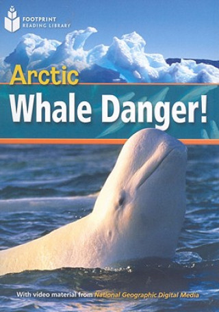 Książka Arctic Whale Danger! Rob Waring