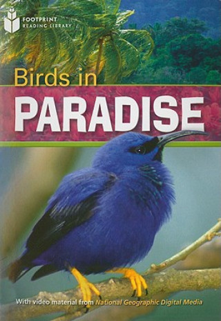 Kniha Birds in Paradise Rob Waring