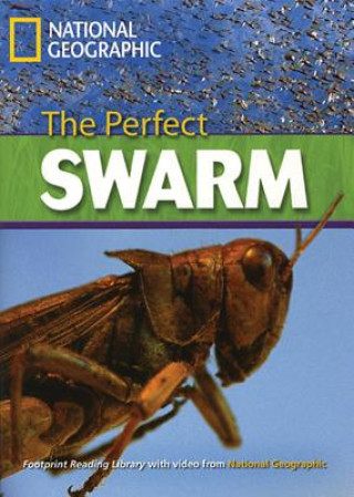 Könyv The Perfect Swarm: Footprint Reading Library 8 Rob Waring