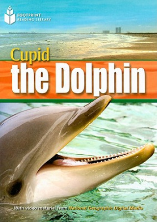 Książka Cupid the Dolphin Rob Waring