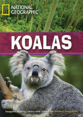 Книга Koalas Rob Waring