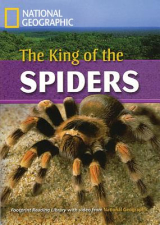 Книга The King of the Spiders Rob Waring