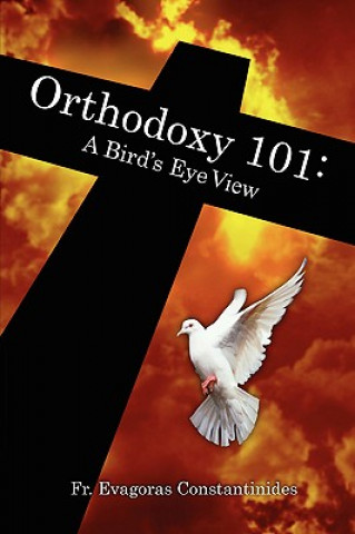 Kniha Orthodoxy 101: A Bird's Eye View Evagoras Constantinides