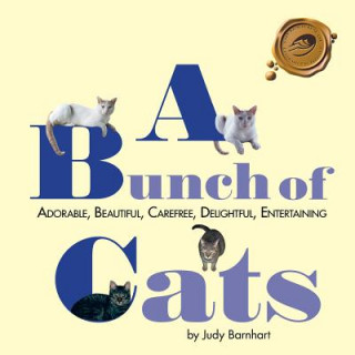 Książka Bunch of Cats Judy Barnhart