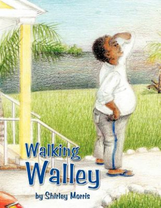 Kniha Walking Walley Shirley Morris