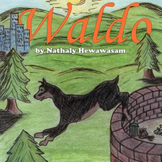 Book Waldo Nathaly Hewawasam