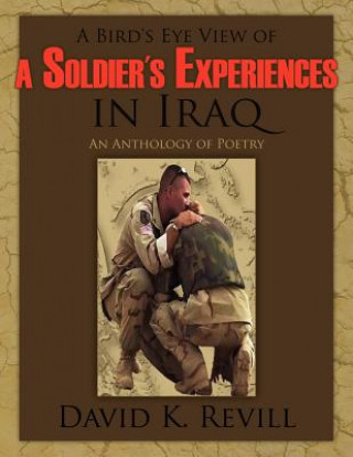 Kniha Bird's Eye View of a Soldier's Experiences in Iraq David K. Revill