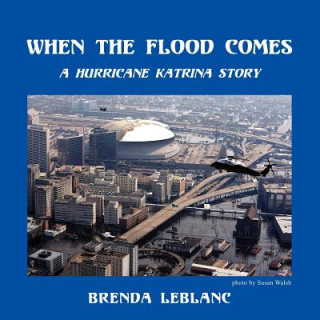 Livre When the Flood Comes Brenda LeBlanc