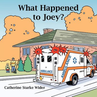 Kniha What Happened to Joey? Catherine Starke Wider