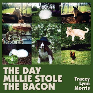 Libro Day Millie Stole the Bacon Tracey Lynn Morris