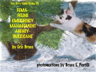 Carte FEMA-Feline Emergency Management Agency-Hurricane Bruce Pestilli