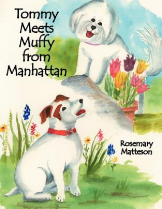 Knjiga Tommy Meets Muffy from Manhattan Rosemary Matteson