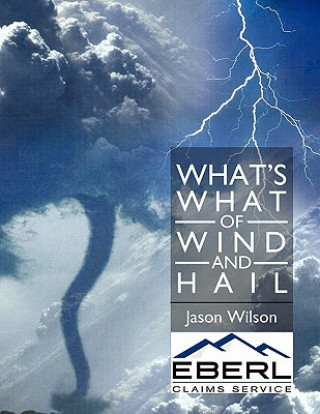 Książka What's What of Wind and Hail Jason Wilson