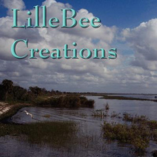 Knjiga LillyBee Creations Lillian B. Steffen