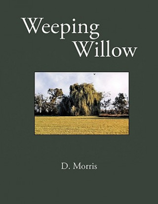 Kniha Weeping Williow Darla Lynn Morris