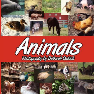 Knjiga Animals Deborah Oelrich
