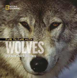 Carte Face to Face With Wolves Jim Brandenburg