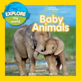 Książka Explore My World Baby Animals Marfe Ferguson Delano