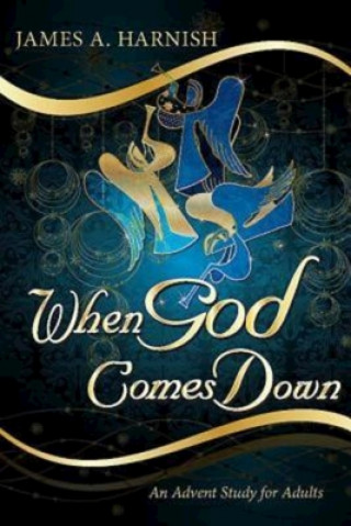 Книга When God Comes Down James A Harnish