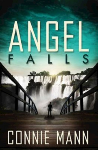 Book Angel Falls Connie Mann