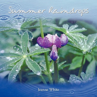 Kniha Summer Raindrops Jeanne White