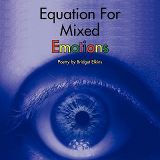 Kniha Equation For Mixed Emotions Bridget Elkins