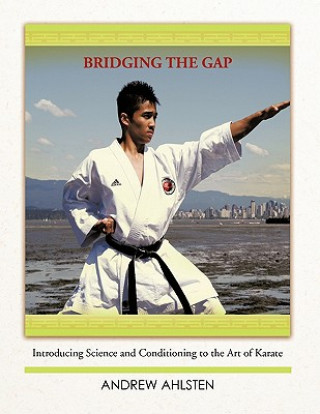 Книга Bridging the Gap Andrew Ahlsten