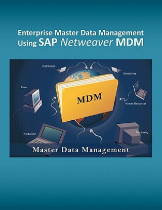 Könyv Enterprise Master Data Management Using SAP Netweaver MDM Mohammad Assad Shaik