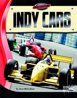 Książka Indy Cars Sean McCollum