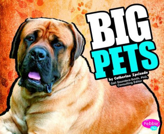 Книга Big Pets Catherine Ipcizade