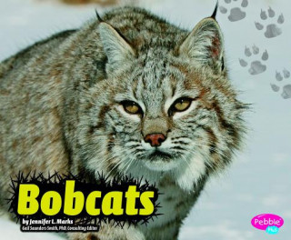 Carte Bobcats Jennifer L. Marks
