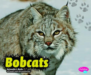 Kniha Bobcats Jennifer L. Marks