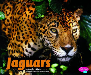 Carte Jaguars Jennifer L. Marks